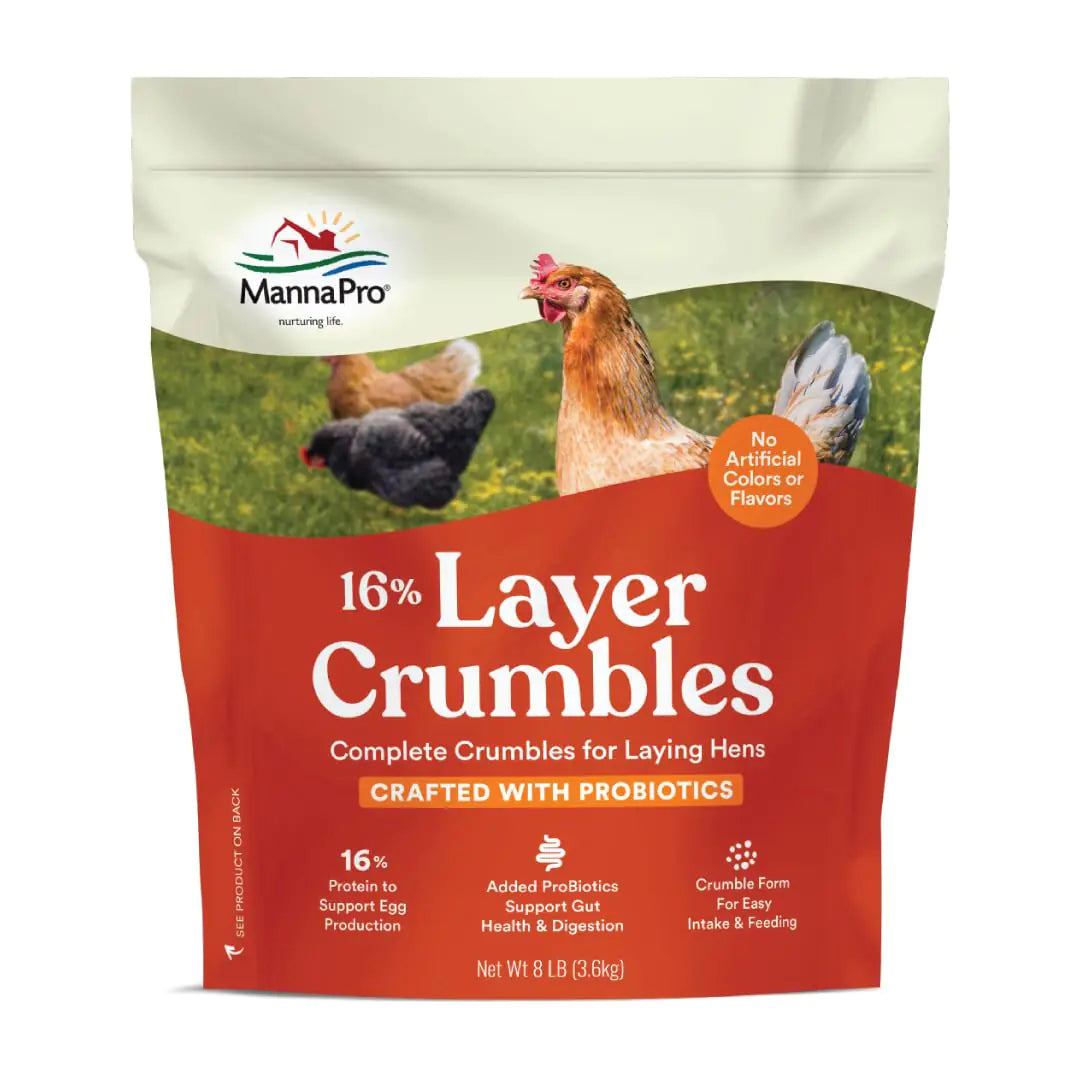 Manna Pro Chicken Feed – 16% Protein Layer Crumbles with Probiotics Complete Chicken Food for Egg Production 8 lb Bag